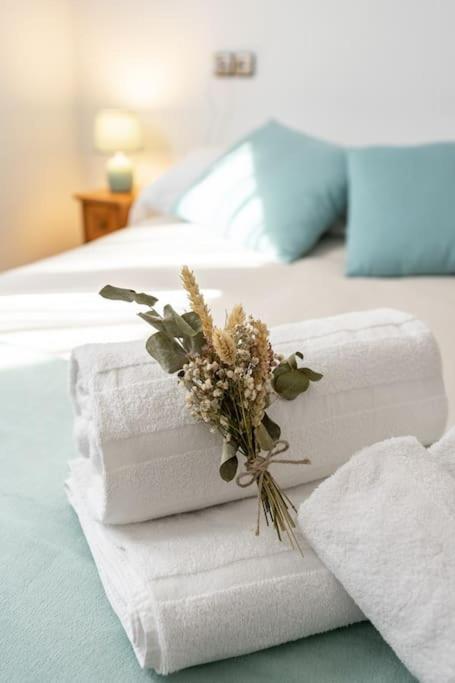 Apartamento Trisquel Gijón Dış mekan fotoğraf